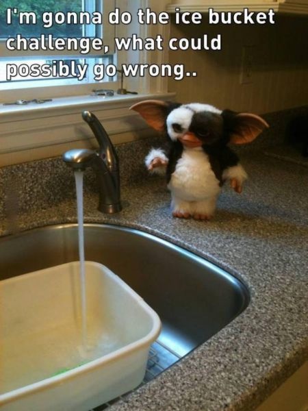 Bildschirmarbeiter - Picdump 29.08.2014