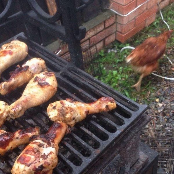 Bildschirmarbeiter - Picdump 29.08.2014