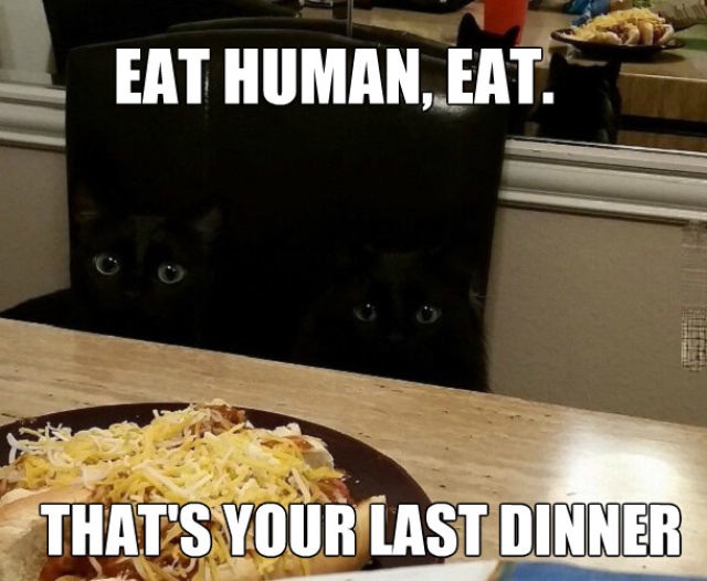 Bildschirmarbeiter - Picdump 29.08.2014