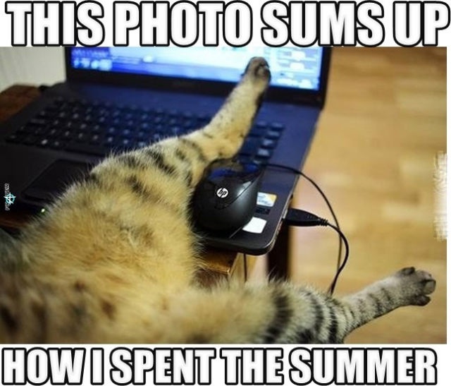 Bildschirmarbeiter - Picdump 29.08.2014