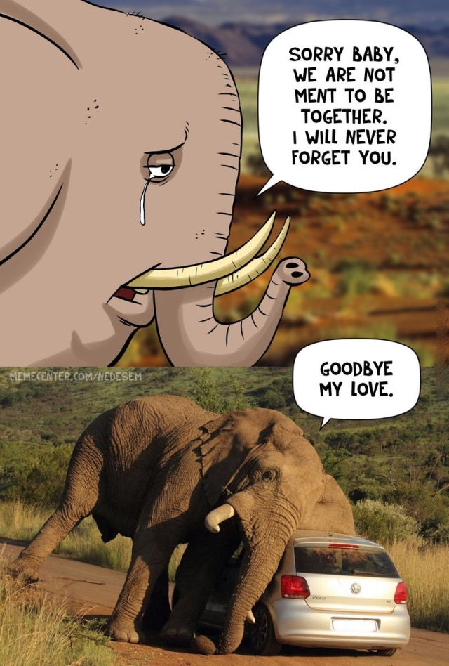 Bildschirmarbeiter - Picdump 29.08.2014