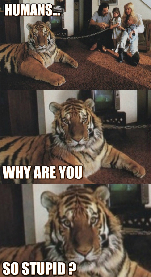 Bildschirmarbeiter - Picdump 29.08.2014