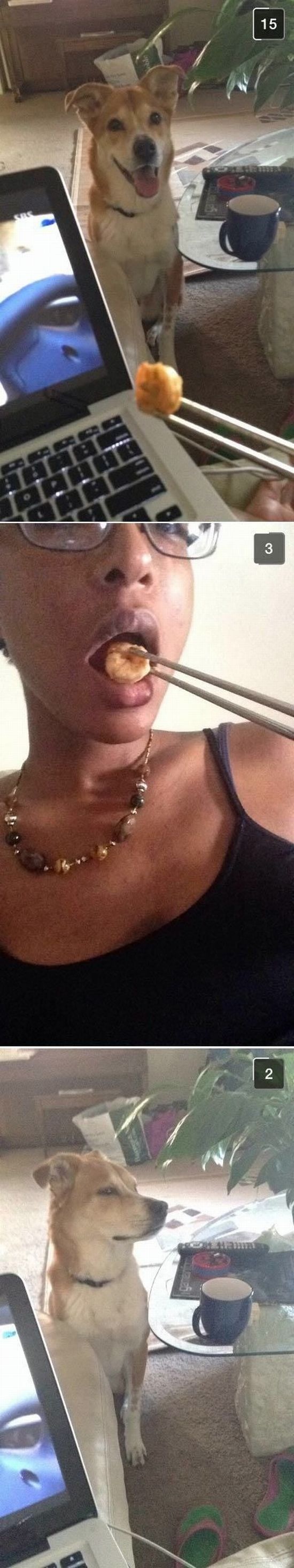 Bildschirmarbeiter - Picdump 29.08.2014