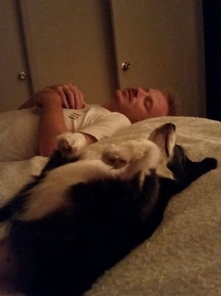 Bildschirmarbeiter - Picdump 05.09.2014