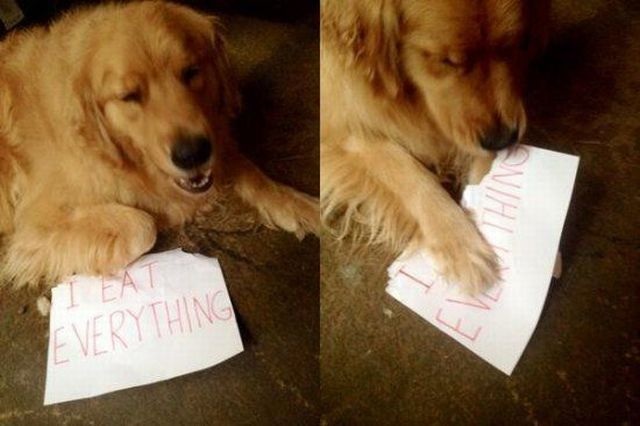 Bildschirmarbeiter - Picdump 05.09.2014