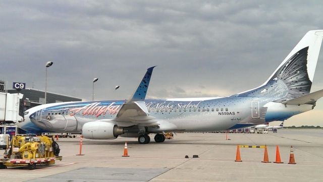 Bildschirmarbeiter - Picdump 05.09.2014