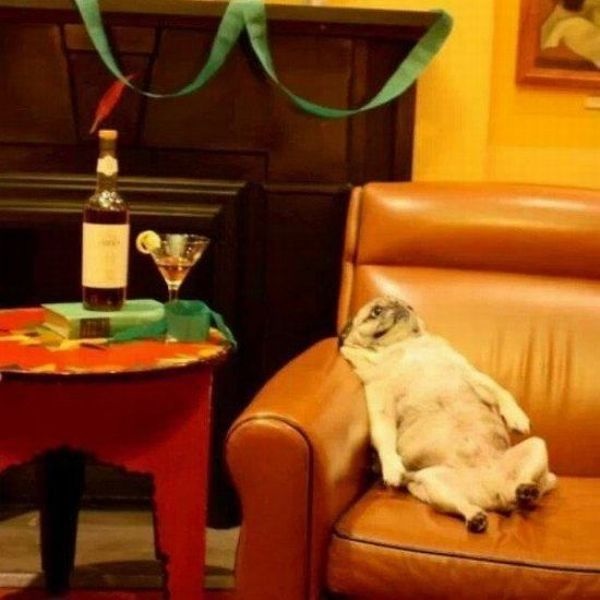 Bildschirmarbeiter - Picdump 05.09.2014