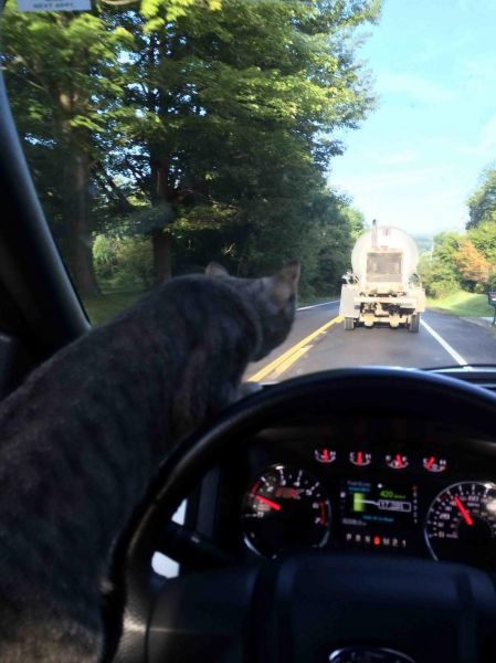 Bildschirmarbeiter - Picdump 05.09.2014