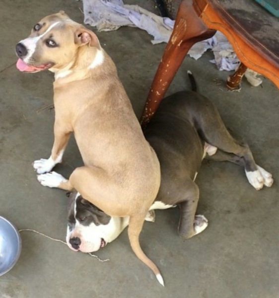 Bildschirmarbeiter - Picdump 05.09.2014