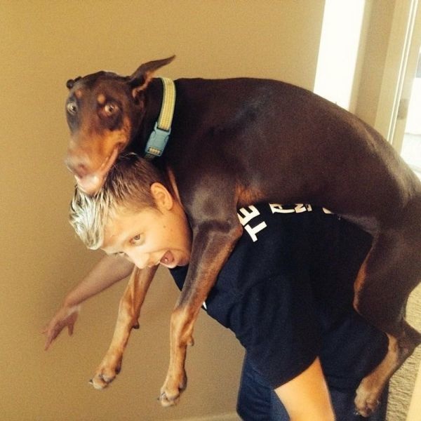 Bildschirmarbeiter - Picdump 05.09.2014