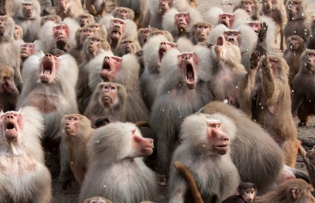 Bildschirmarbeiter - Picdump 05.09.2014