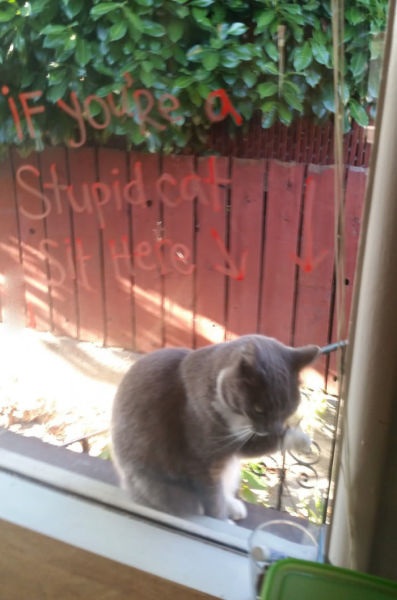 Bildschirmarbeiter - Picdump 05.09.2014