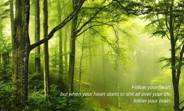 Bildschirmarbeiter - Picdump 05.09.2014