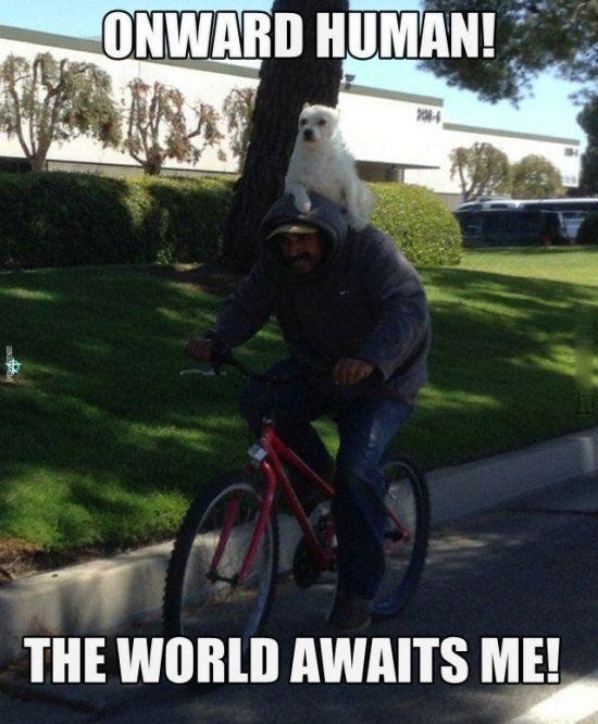 Bildschirmarbeiter - Picdump 05.09.2014