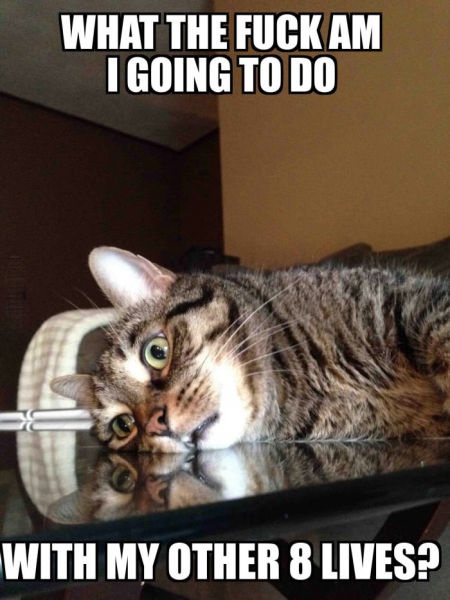 Bildschirmarbeiter - Picdump 05.09.2014