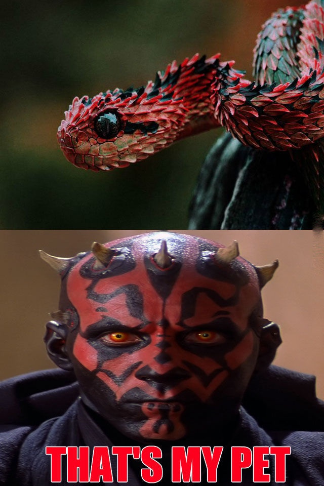 Bildschirmarbeiter - Picdump 05.09.2014