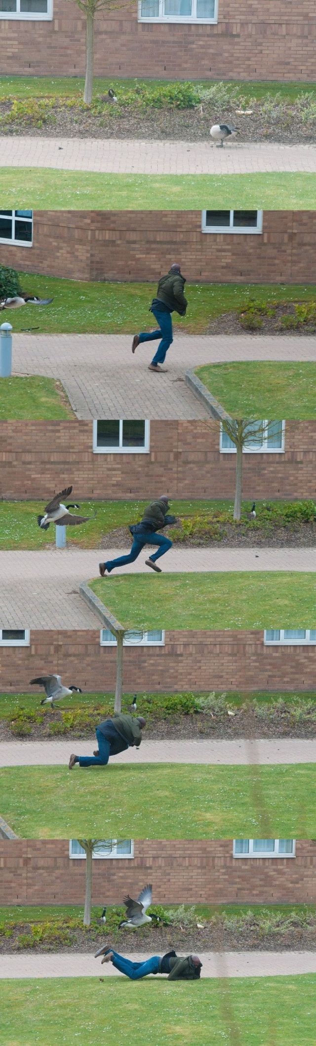 Bildschirmarbeiter - Picdump 05.09.2014