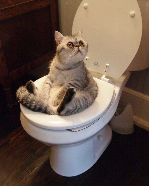 Bildschirmarbeiter - Picdump 12.09.2014