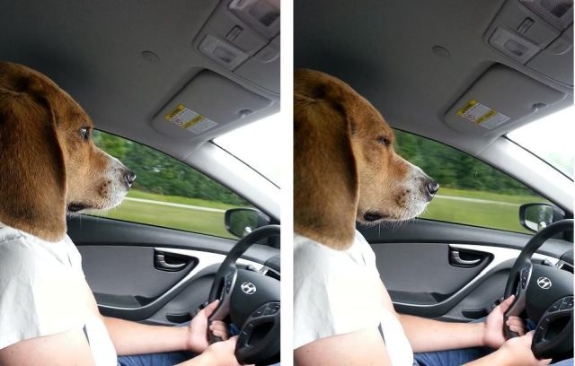 Bildschirmarbeiter - Picdump 12.09.2014