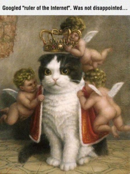 Bildschirmarbeiter - Picdump 12.09.2014