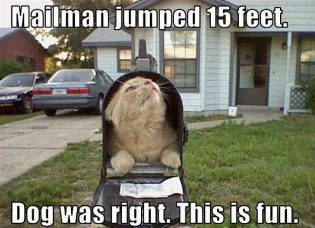 Bildschirmarbeiter - Picdump 12.09.2014