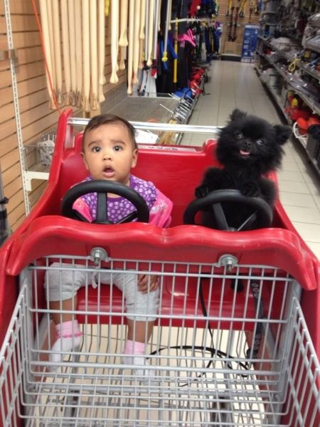 Bildschirmarbeiter - Picdump 12.09.2014