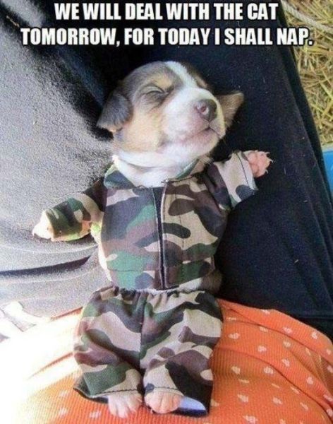 Bildschirmarbeiter - Picdump 12.09.2014