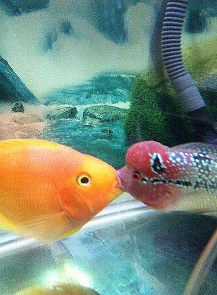 Bildschirmarbeiter - Picdump 12.09.2014