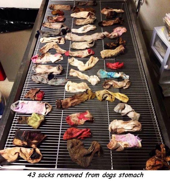 Bildschirmarbeiter - Picdump 12.09.2014