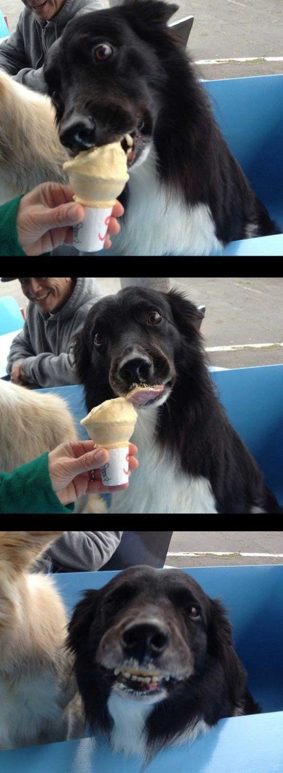 Bildschirmarbeiter - Picdump 12.09.2014