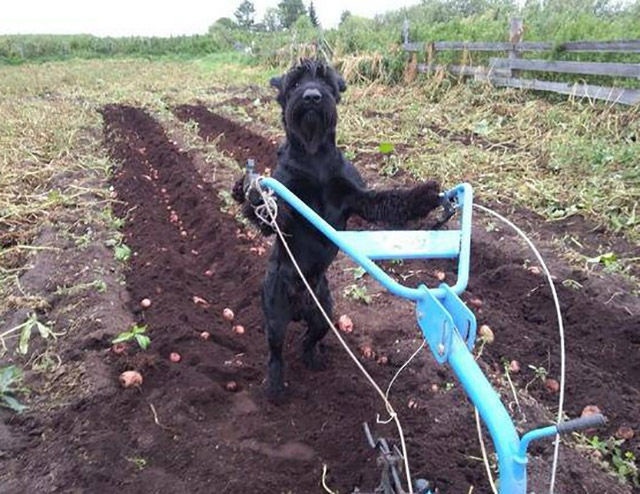 Bildschirmarbeiter - Picdump 12.09.2014