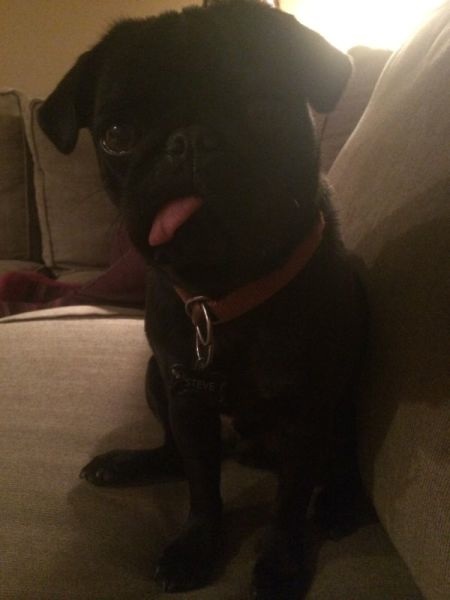 Bildschirmarbeiter - Picdump 19.09.2014