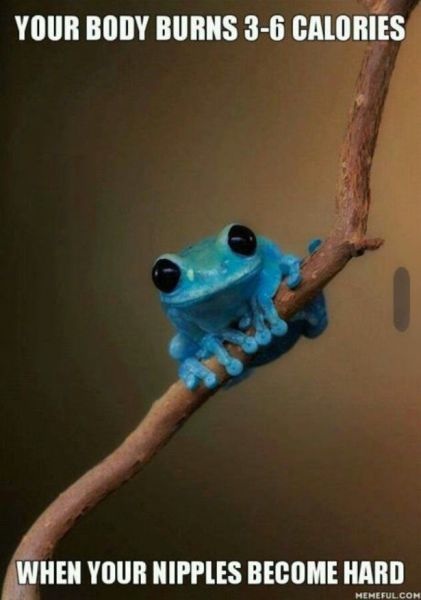 Bildschirmarbeiter - Picdump 19.09.2014