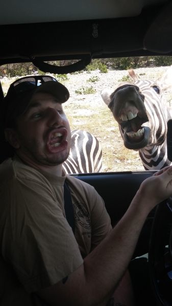 Bildschirmarbeiter - Picdump 19.09.2014