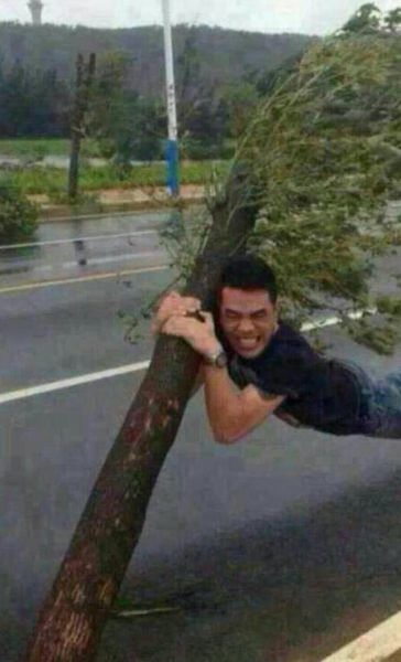 Bildschirmarbeiter - Picdump 19.09.2014