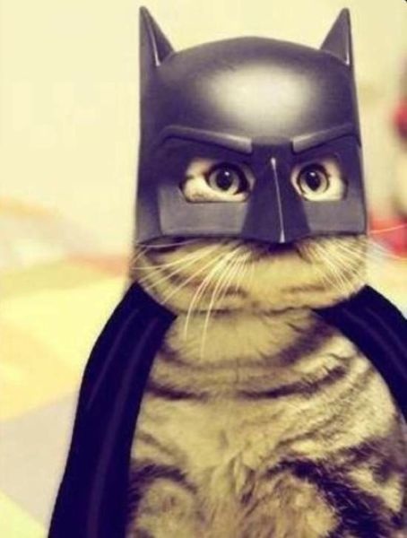 Bildschirmarbeiter - Picdump 19.09.2014