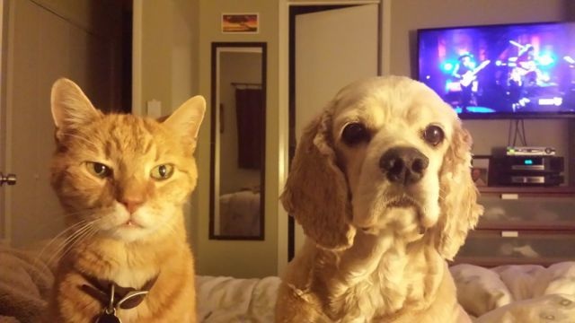 Bildschirmarbeiter - Picdump 19.09.2014