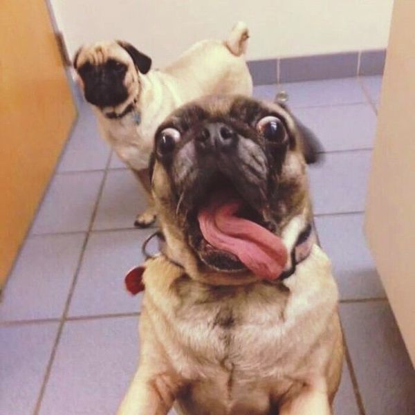 Bildschirmarbeiter - Picdump 19.09.2014