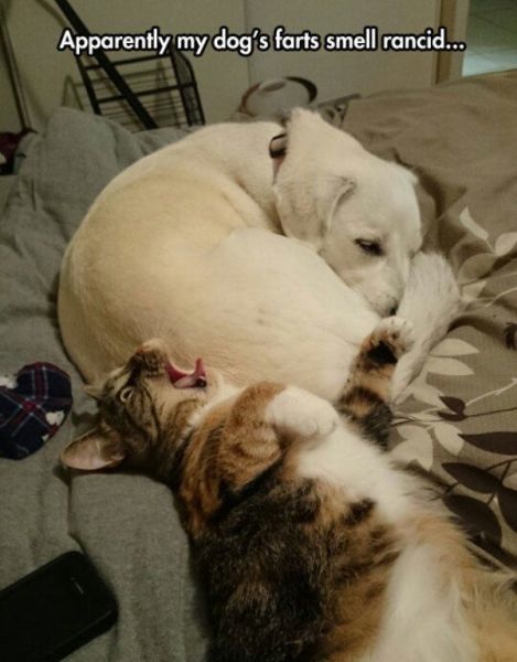 Bildschirmarbeiter - Picdump 19.09.2014