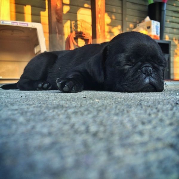 Bildschirmarbeiter - Picdump 19.09.2014