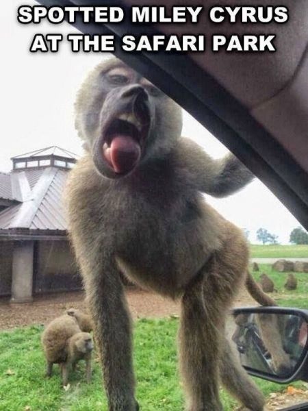 Bildschirmarbeiter - Picdump 19.09.2014