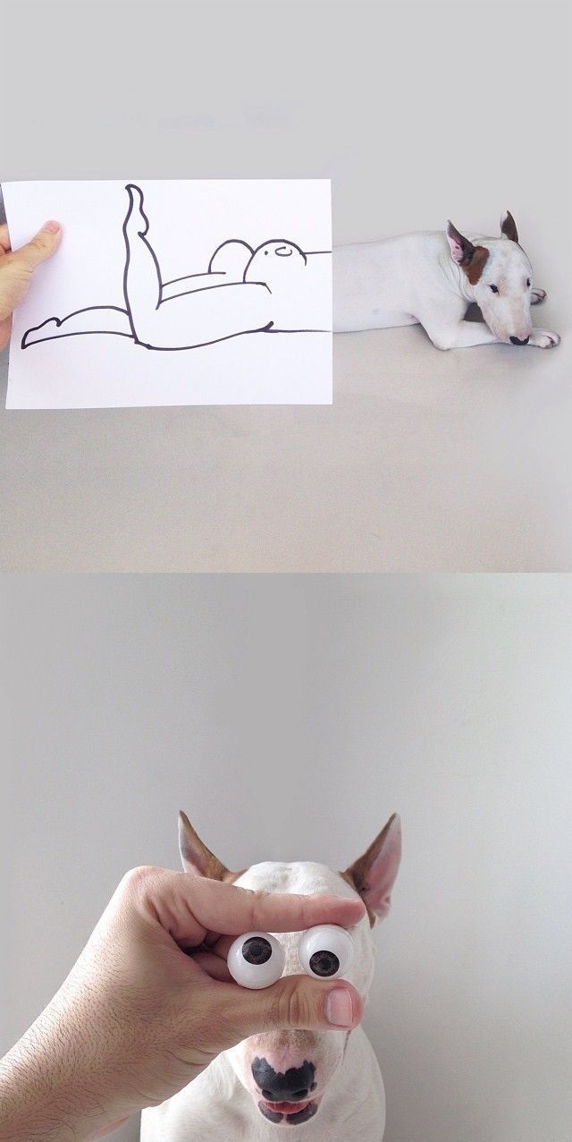 Bildschirmarbeiter - Picdump 19.09.2014