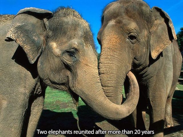 Bildschirmarbeiter - Picdump 19.09.2014