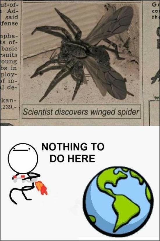 Bildschirmarbeiter - Picdump 19.09.2014