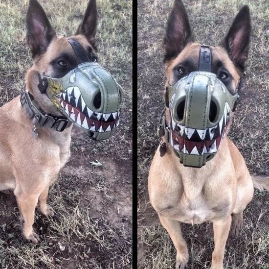 Bildschirmarbeiter - Picdump 19.09.2014