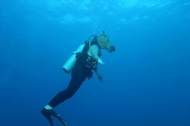 Bildschirmarbeiter - Picdump 26.09.2014