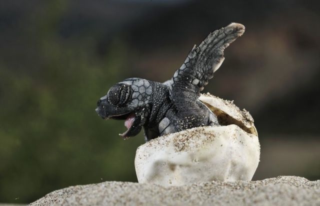 Bildschirmarbeiter - Picdump 26.09.2014