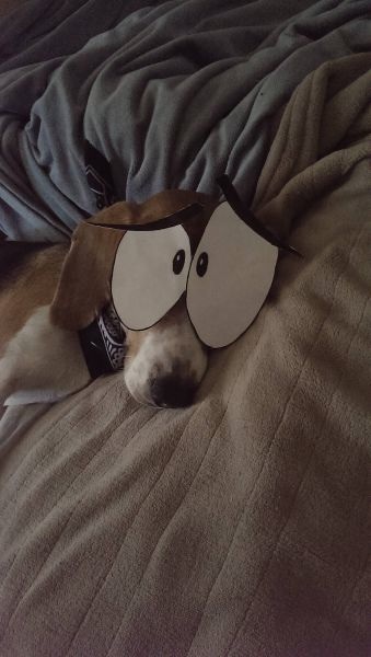 Bildschirmarbeiter - Picdump 26.09.2014