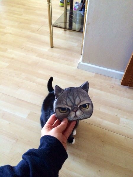 Bildschirmarbeiter - Picdump 26.09.2014