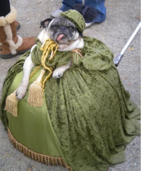 Bildschirmarbeiter - Picdump 26.09.2014